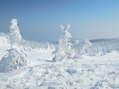 9：30　蔵王の樹氷見学
樹氷の状態について受付の方にに伺うと、「3月にしては良く残っている方」であるとのことでした。

頂上付近以外は樹氷はありませんでしたが、頂上付近はまだ樹氷のカタチをとどめていました。