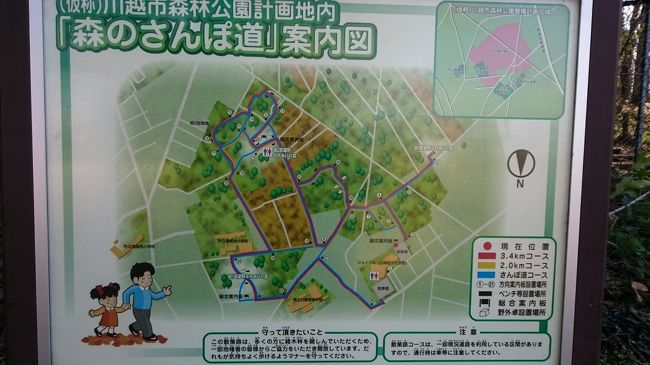 お散歩道 森のさんぽ道 In埼玉県 川越 川越 埼玉県 の旅行記 ブログ By Chaiさん フォートラベル
