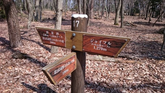 お散歩道 森のさんぽ道 In埼玉県 川越 川越 埼玉県 の旅行記 ブログ By Chaiさん フォートラベル
