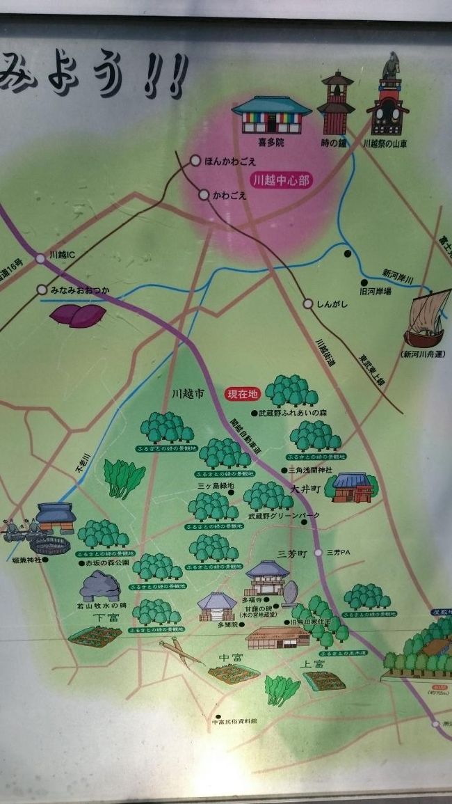お散歩道 森のさんぽ道 In埼玉県 川越 川越 埼玉県 の旅行記 ブログ By Chaiさん フォートラベル