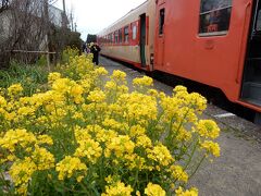 駅の菜の花は綺麗に咲いていました。
急行はこの駅で、写真を撮ったり駅の売店で買い物をする時間が設けられていて、