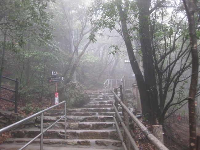 ロープウェイ降りてからも階段を登ります。