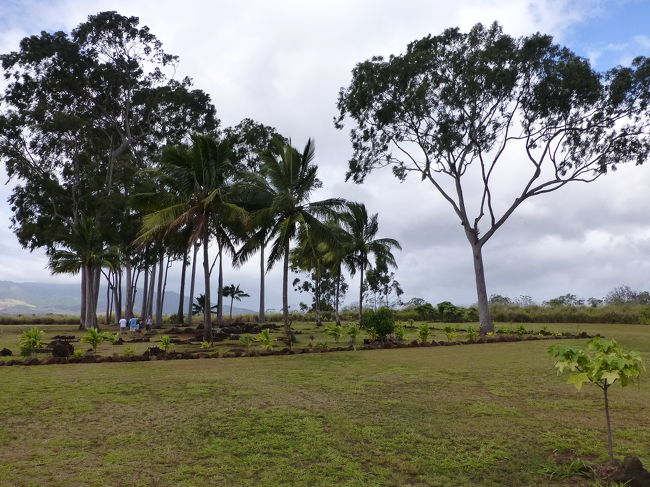 背が高い、細長い葉っぱの木はユーカリの木だそうで、ガイドさんＳ氏、落ち葉を拾ってパキッとふたつに折りました。<br />匂いをかいでごらんと渡され、おそるおそる嗅いでみると、なんともいい香りでした。<br />