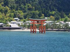 見えてきました海に浮かぶ鳥居！