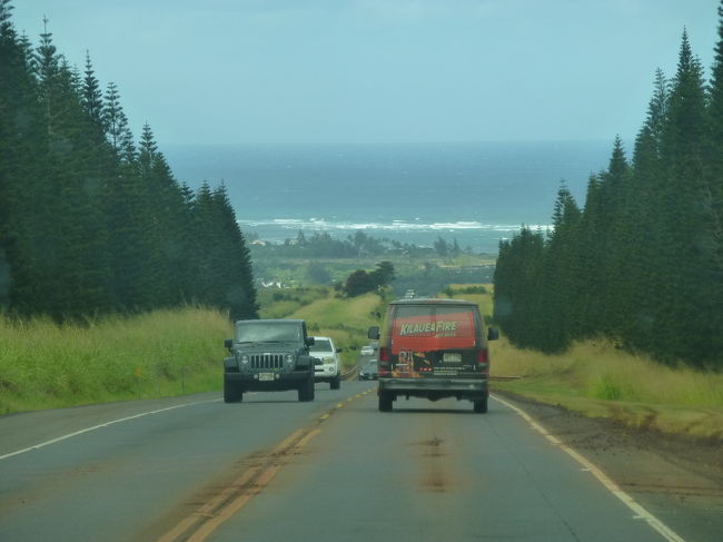 両サイドにかわいらしい木が並んでいます。その奥の畑もドールさんの畑なんですと！<br />パイナップル畑にコーヒーの木も！<br /><br />海見えてきたー！<br />