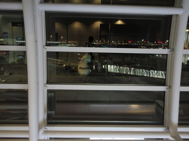 さて、搭乗したいと思います。<br /><br /><br />搭乗した便は上記に書いたとおりです。<br /><br />JL035　<br />羽田　0：05発<br />シンガポール　6：45着(シンガポール時間)<br /><br />シンガポールは時差1時間です。<br />ですので、搭乗時間は7時間半ほどでしょうか。<br /><br />72時間前に座席を指定できましたので、ギャレーが後ろにある座席を選びました。<br />リクライニングを全開にできる場所なので、JGC修行の時から好んで利用しています♪