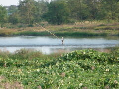 散歩中の風景

多摩川で釣り人を発見