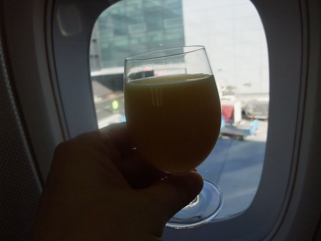 シャワーを浴びてさっぱりしてＮＲＴ便へ搭乗。<br />最後のお客さんのようでしたが、定刻前には搭乗できました。<br /><br />それにしても、写真下手ですね、スイマセン<br /><br /><br />この後成田にはほぼ定刻に到着、札幌まで乗継で無事到着と<br />相成りました。<br /><br />今回は一人旅を許してくれた家族に感謝です。<br /><br />今度はためたマイルで家族旅行したいと思います。