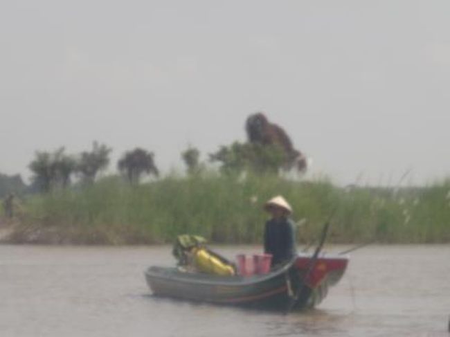 ベトナムの傘（ノン）のようなものをかぶっている人がいます。<br />ただおそらく大きな木だと思うのですが、後ろにある茶色いものが<br />なんとなく巨大な生命体に見えてしまい、後から見て不気味に感じます。