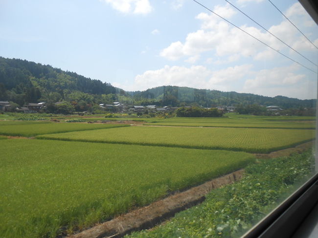 こうやって夏の日本の風景を見ながら、ガタンゴトン列車に揺られるのは気分が良いものです。<br /><br />ライブが終わって、すぐに新幹線で帰ろうかとも考えたけど、鈍行旅にして正解でした。仕事の疲れも癒されます。<br />