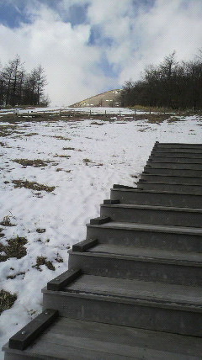 階段でちょっと上る