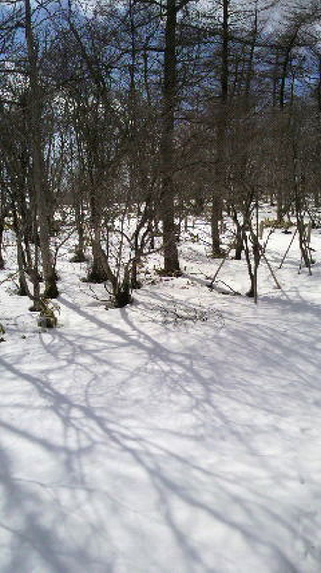 もっと　上ると<br />階段にも雪が残っていました。<br />普通の靴できてしまったので<br />濡れたら冷たいので<br />展望台は諦めました。