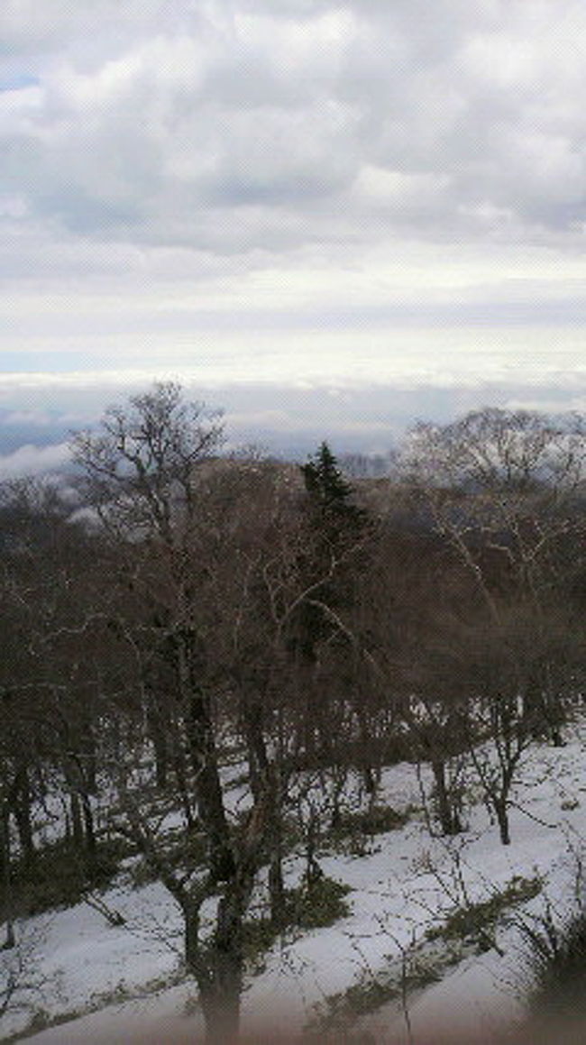 すこし　時間が経っただけで<br />雲の表情がかわって　面白い