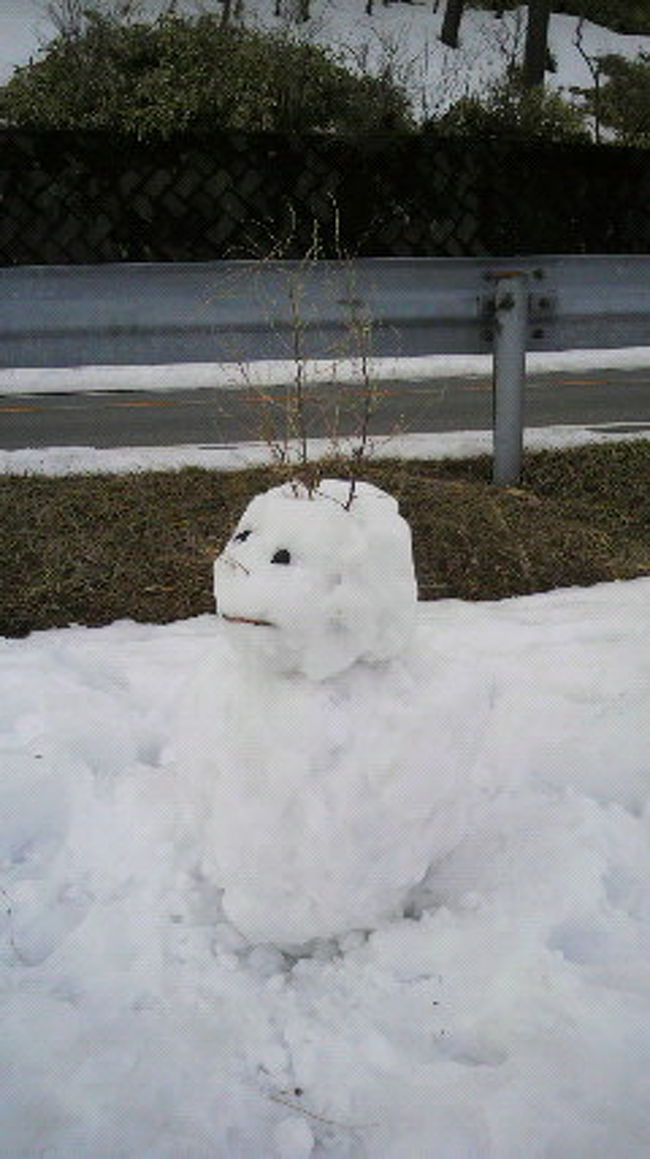 私たちが来る前に<br />素敵な造術家さんが来訪していたようです♪<br />かわいらしい