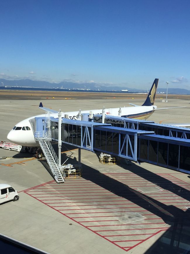 搭乗機、スタンバイしてます．いいお天気で気持ちいい〜．