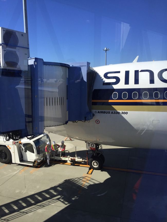 エアバス330なので、機内はあまり期待できない…けど羽田や成田まで行くのは面倒なので。