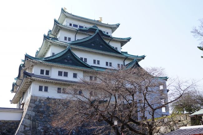 もろ逆光でした。