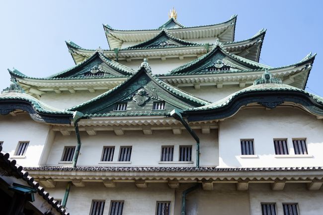 他の人が撮っていたのでつられて・・