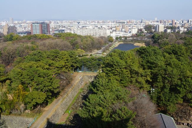 天守より、　昼の風景はいまいちか。
