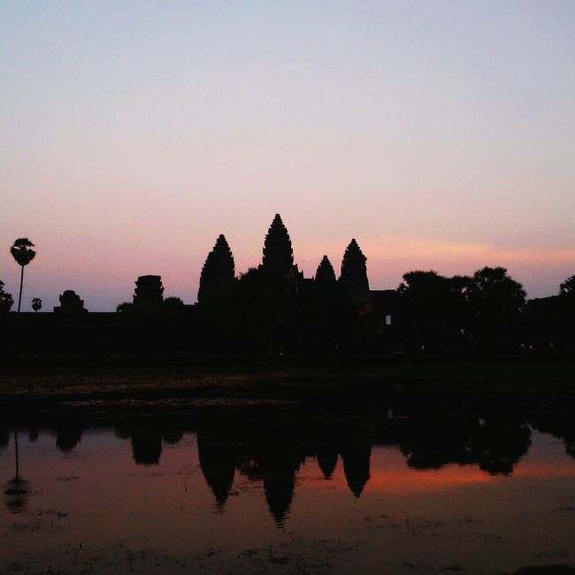 カンボジアに来たら絶対にアンコールワットの朝焼けを見に来ることをお勧めします。