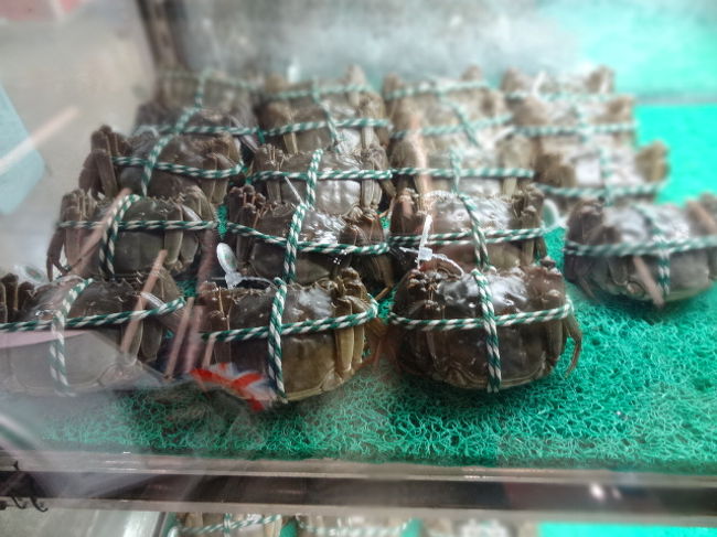 カニがそのまま販売されていました。どうやって持って帰るの・・!？賞味期限とか大丈夫かな・・？