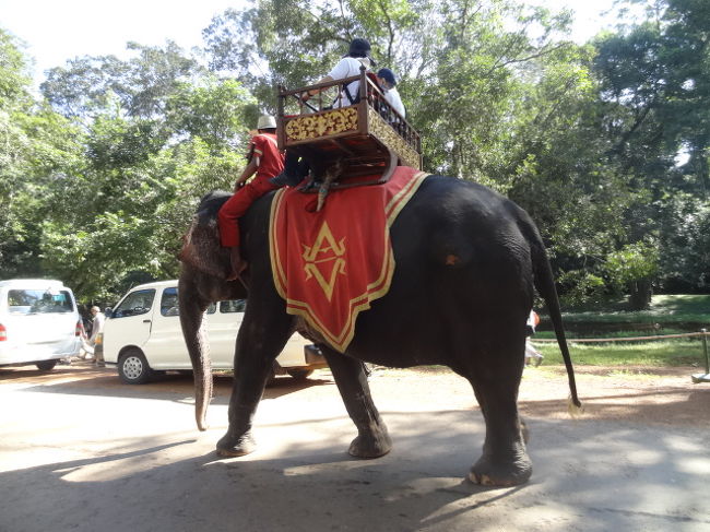象さんが案内してくれます。今度乗りたい〜