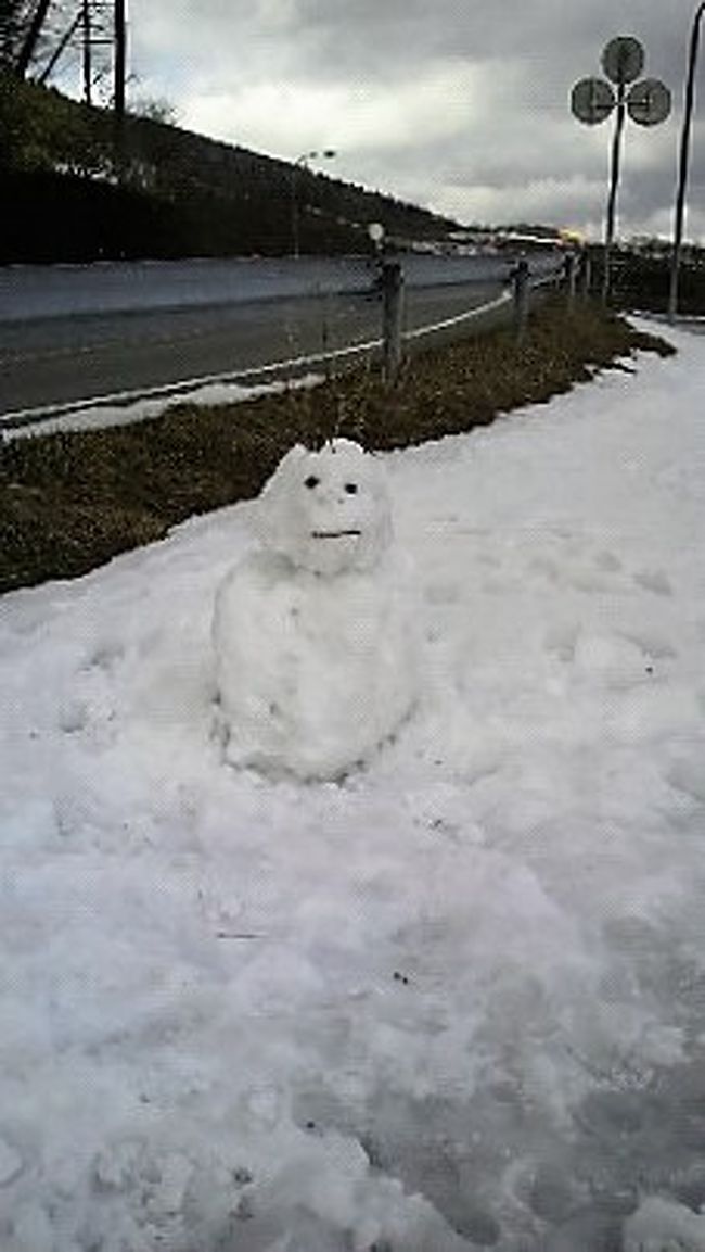 雪ダルマさんの別アングル<br />頭に生えてる　ナニカがよく写ってないのが残念