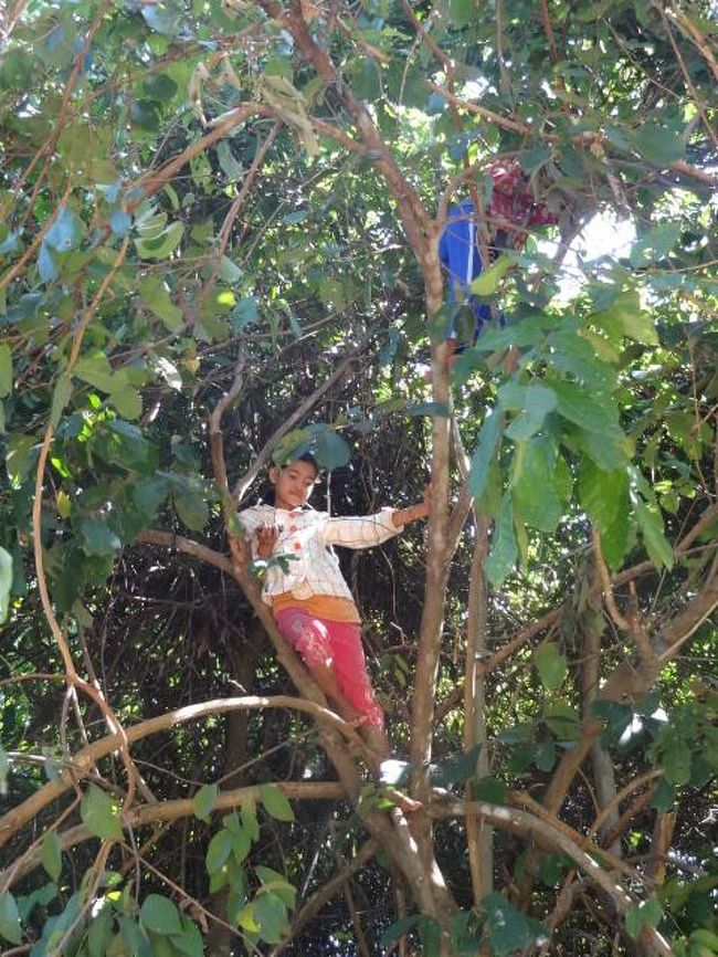 いーねー！！自然児！！