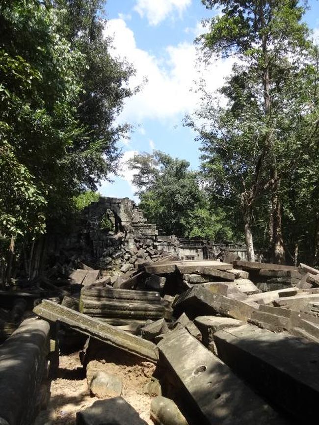 森の中に現れるベンメリア。<br />一般公開されたのは2001年から。遺跡が発見されたのが1990年代。<br />遺跡に触ったり登ったりできる特別な場所なので来るのが楽しみだった。<br /><br />ベンメリア遺跡<br />ベンメリア（クメール語: 英 Beng Mealea、蓮池の意味）は、カンボジアのアンコール・ワットの約40km東の森の中にある寺院。世界遺産であるアンコール遺跡群のひとつ。崩壊が激しい。全貌が明らかになればアンコール・ワットを凌ぐといわれるほどの規模を持つと推測されている。