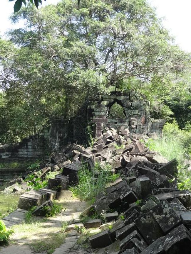 建物が倒壊したり木が建物と絡まっていたり。本当にラピュタみたい。巨神兵出て来そうな雰囲気。