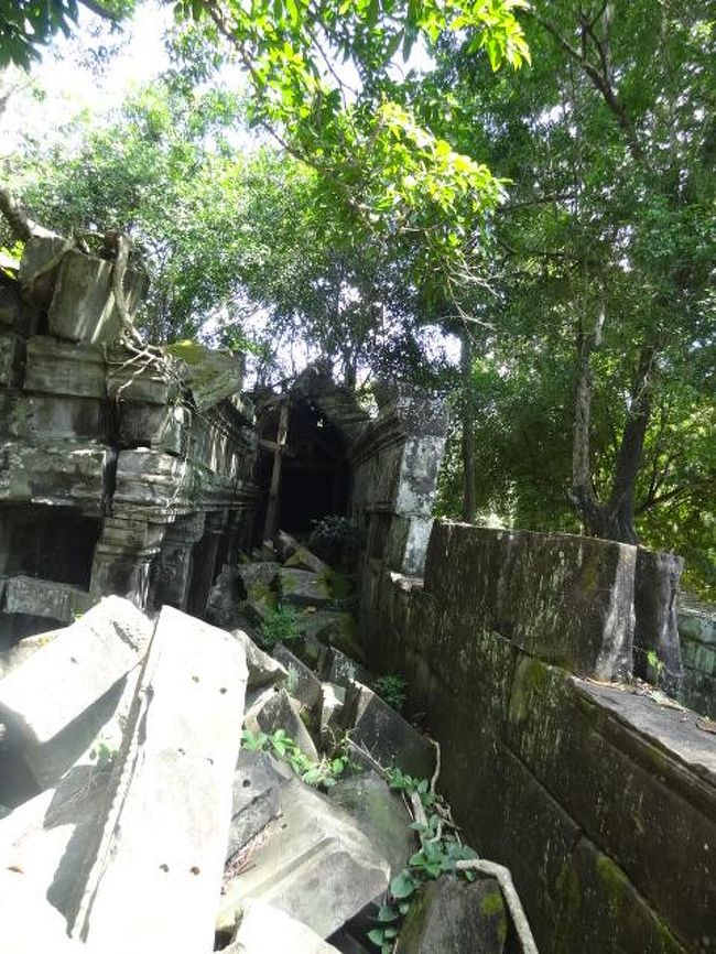 個々の石はかなり大きい。