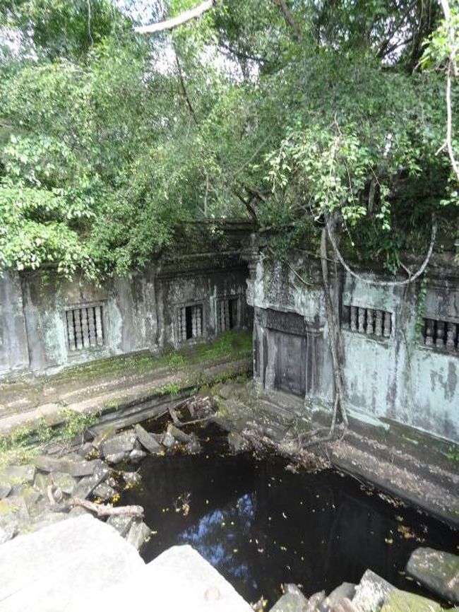 こういうところをズンズン進むー！！かなり広いし、ガイドさんがいないと迷子になりそう。。('Д')