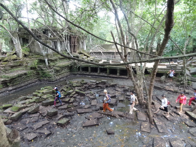他の観光客もチラホラ。でも全然空いてる！！観光しやすい(*‘∀‘)