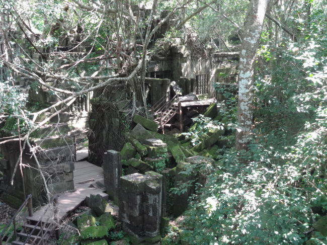 私たちはベンメリアを思い切り楽しみたかったので体力勝負のコースでしたが、もっと楽に回れるコースもあるようです。<br />ガイドさんがその日のお客さんの意見を聞いて？決めるようです。<br />