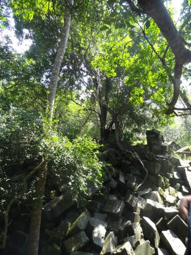 触って登って体感できるベンメリア遺跡最高でした！<br />そんな遺跡行ったことない。ここしかないし、いつか修復して登ったりできなくなるのかな・・とかベンメリアについて色々考えちゃいました。すっかり虜になりました。<br />倒壊していることろが多いので、自己責任ですが冒険好きにはお勧めです！<br />