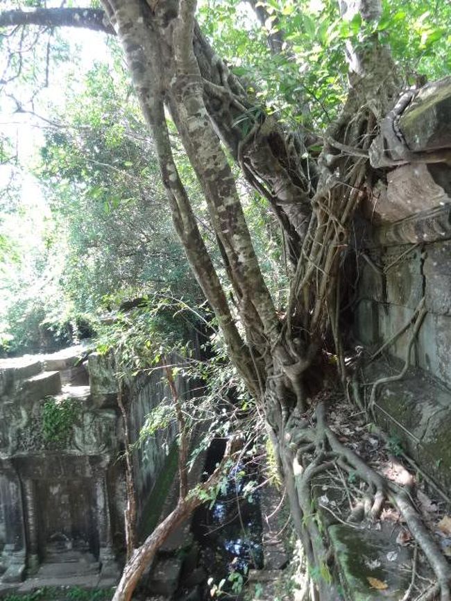 もう、芸術ですね。
