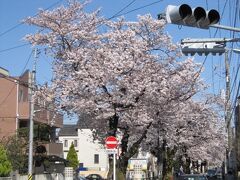 立会川緑道