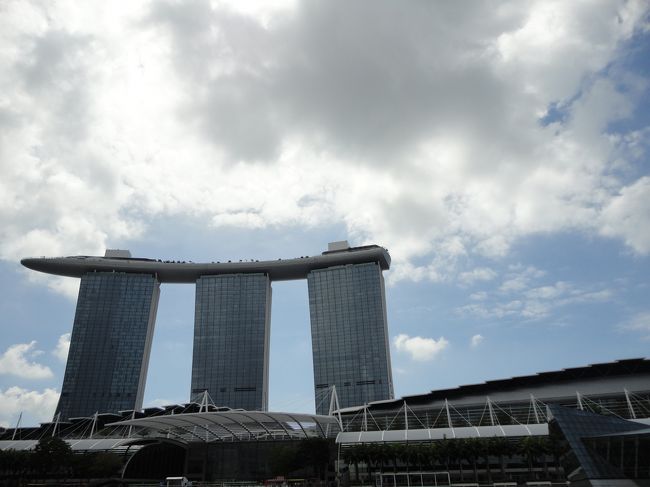 船に乗るからこそ、迫力のあるベイサンズを撮ることできますよね〜