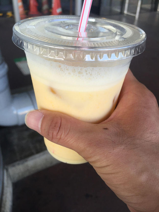 成田空港到着。ジューススタンドでミックスジュースを飲むと、帰ってきた感がある。