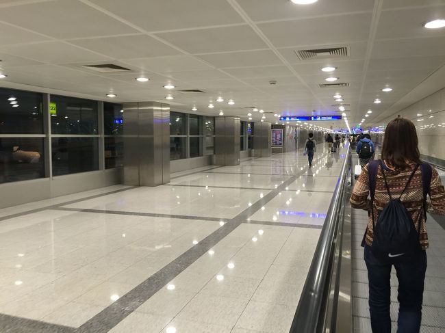 だだっ広いのでひたすら歩く。