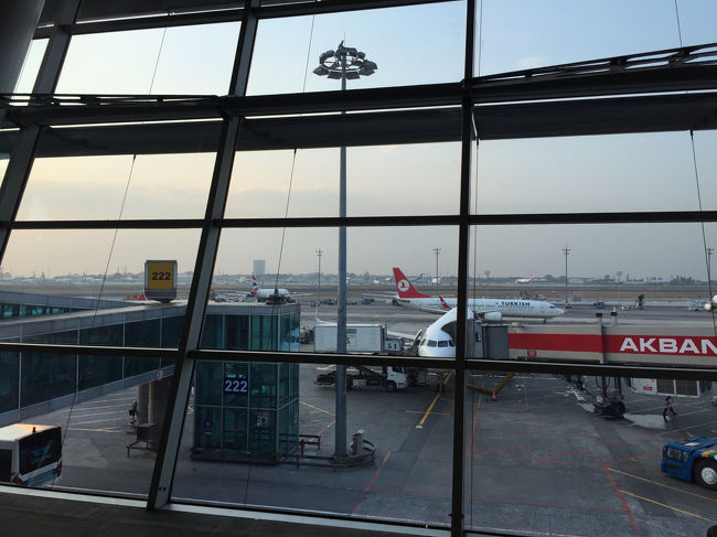 ようやく朝になる。