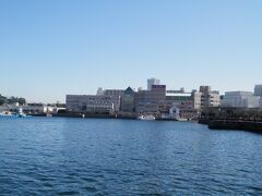 公園東隣のショッパーズプラザ横須賀１階に汐入ターミナルがあります。
そこから「YOKOSUKA軍港めぐり」の遊覧船が運航されています。? 
横須賀港は米海軍と海上自衛隊の双方が拠点を置く軍港。
両方に停泊する艦船を間近で見られるクルーズは日本でここだけ。 
所要時間は約45分です。 