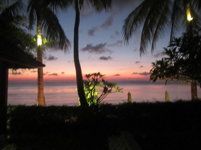 応急措置<br />とりあえずは水中用Ｄ30で撮影