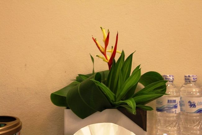 移動の一日で疲れたので寝た。