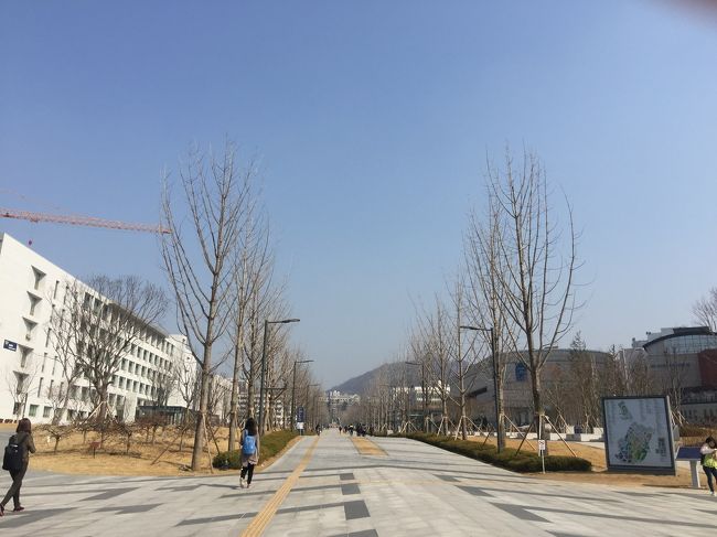 日本でいう慶応大学らしいのですが、広々と立派な大学で、慶応大学のほうがショボイです。<br /><br />後ろにみえるのは北岳山（プッカンサン）。<br />