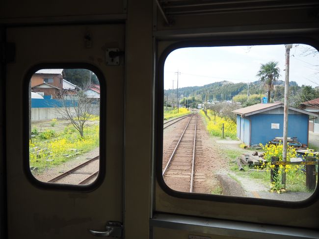 小湊鉄道 いすみ鉄道 菜の花列車でぶらりっぷ いすみ 大多喜 千葉県 の旅行記 ブログ By Momotaさん フォートラベル