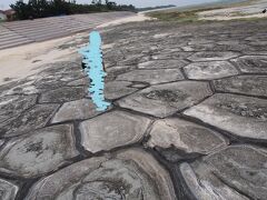 奥武島の畳石！！すご〜い亀の甲羅みたい。
沖縄県指定天然記念物です。
