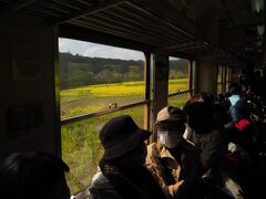 再び下り列車に揺られ養老渓谷駅へ。

わぁ〜〜♪♪♪
もうすぐ到着するというころ車内に
歓声が上がった。