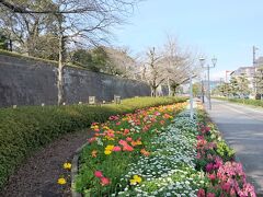 お城の石垣と花壇です。