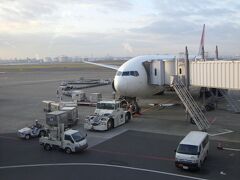 7時40分発函館行のJAL機に乗り、羽田空港から函館空港に飛びます。